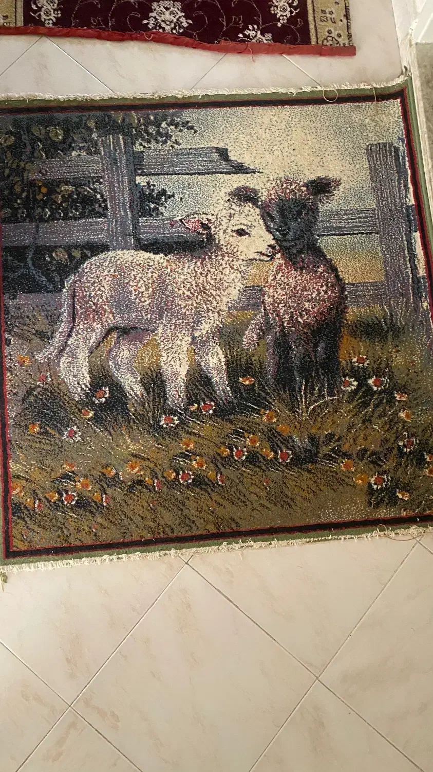 قالیچه|فرش|مشهد, شریف|دیوار