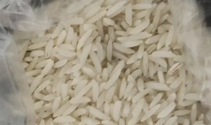 برنج هاشمی|خوردنی و آشامیدنی|لاهیجان, پردسر|دیوار