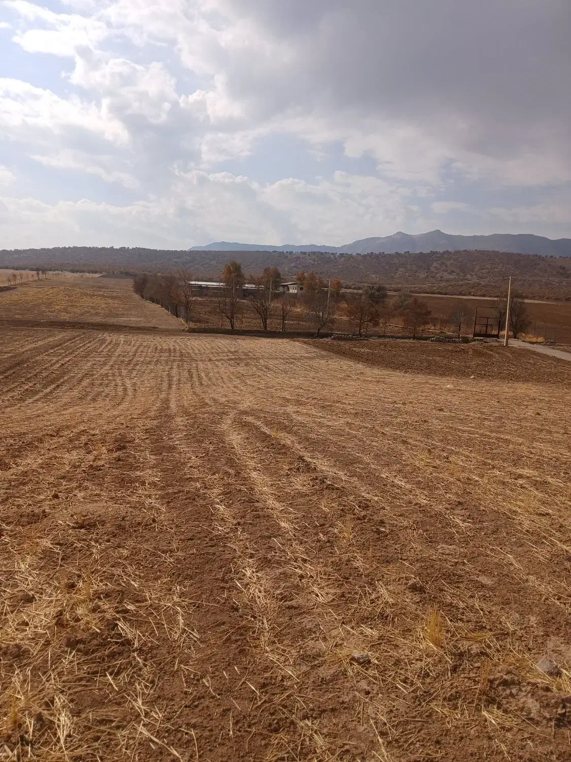 زمین باغ ویلا ومخصوص طرح گل خانه|فروش دفتر صنعتی، کشاورزی، تجاری|خرم‌آباد, |دیوار