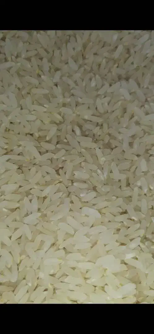 برنج درجه یک کامفیروزی اعلا بشرط پخت|خوردنی و آشامیدنی|شیراز, آزادی|دیوار