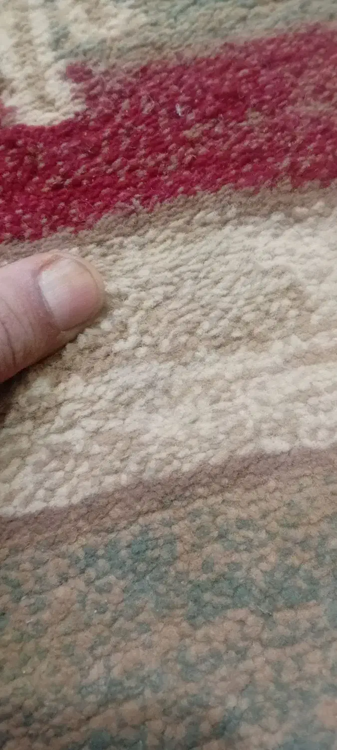 فرش اشپز در حد نو|فرش|تربت جام, معدآباد|دیوار