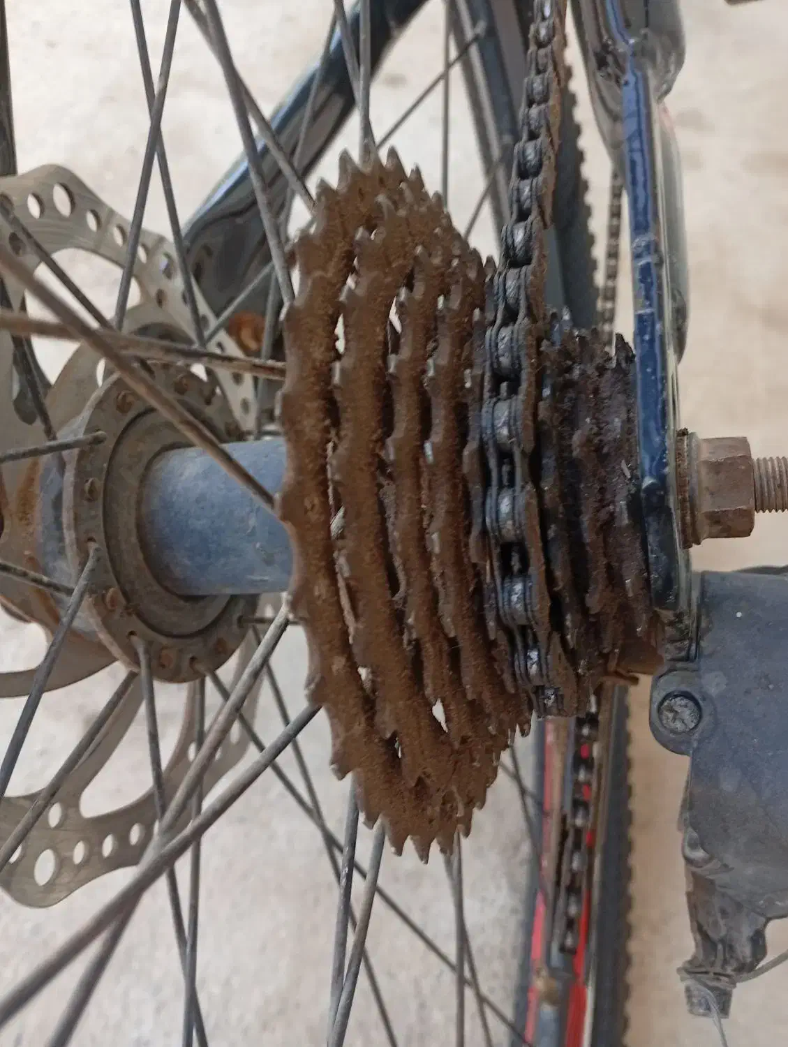 دوچرخه|دوچرخه، اسکیت، اسکوتر|یامچی, |دیوار