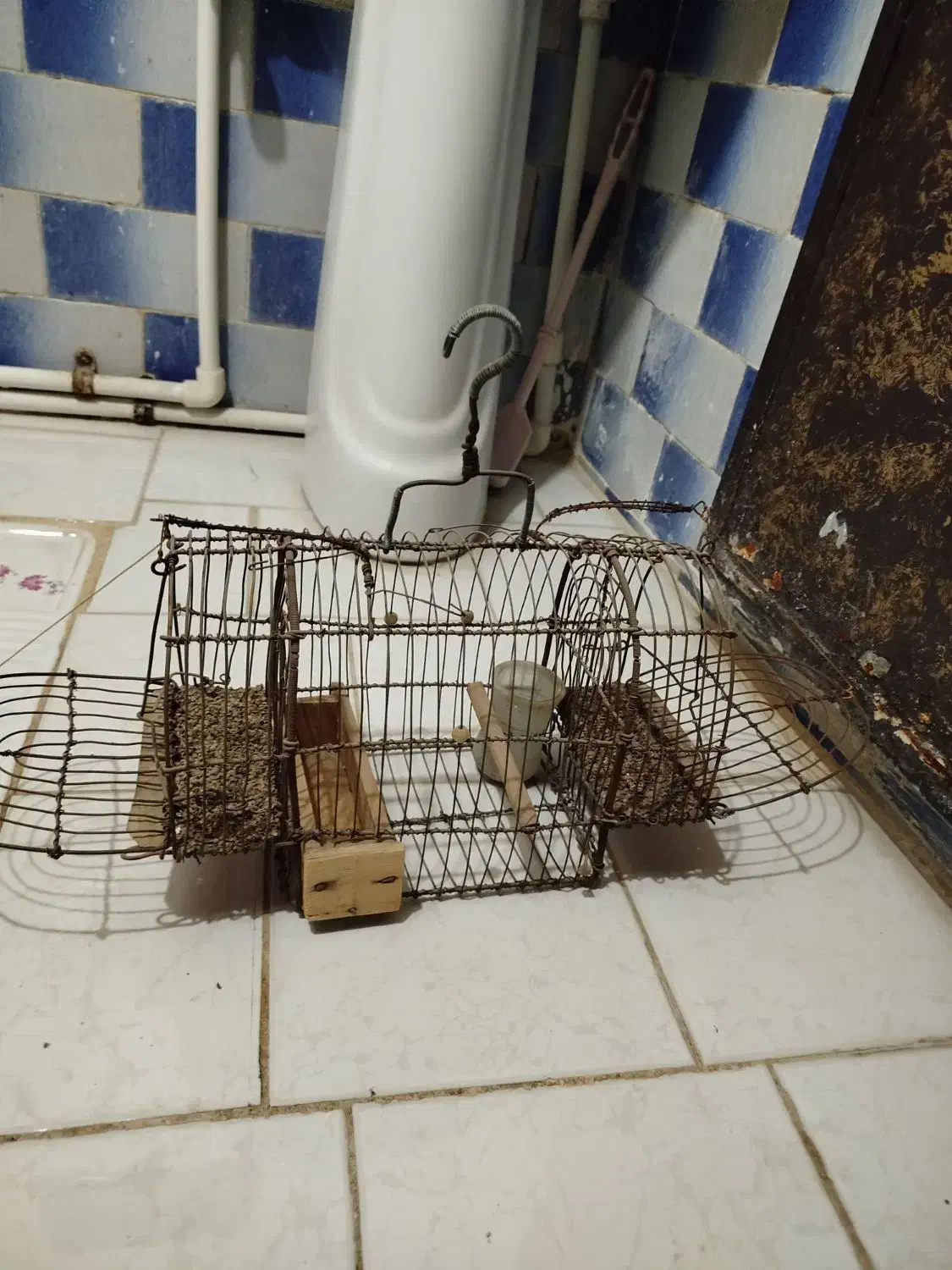 سهره و قفس سهره|پرنده|شهریار, شهرک بهاران (ویره)|دیوار