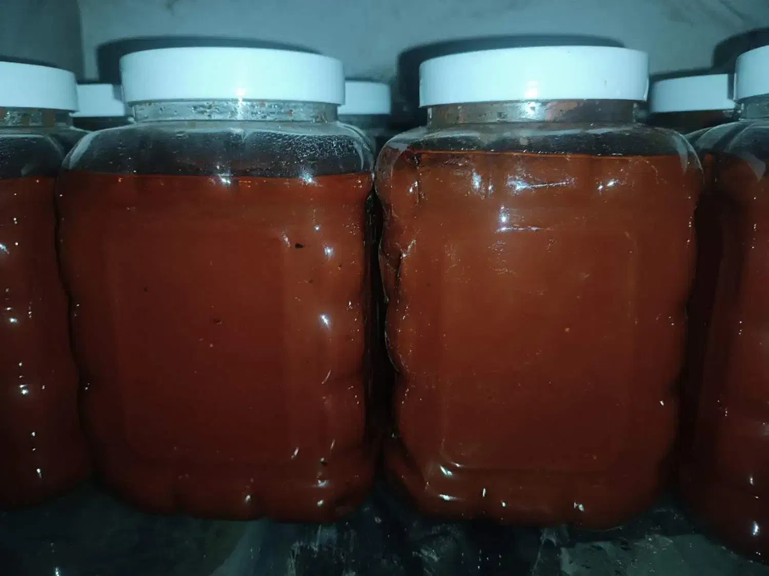 الو افتابی حاج حسنی  و رب گوجه فرنگی|خوردنی و آشامیدنی|نیشابور, شهرک قدس|دیوار