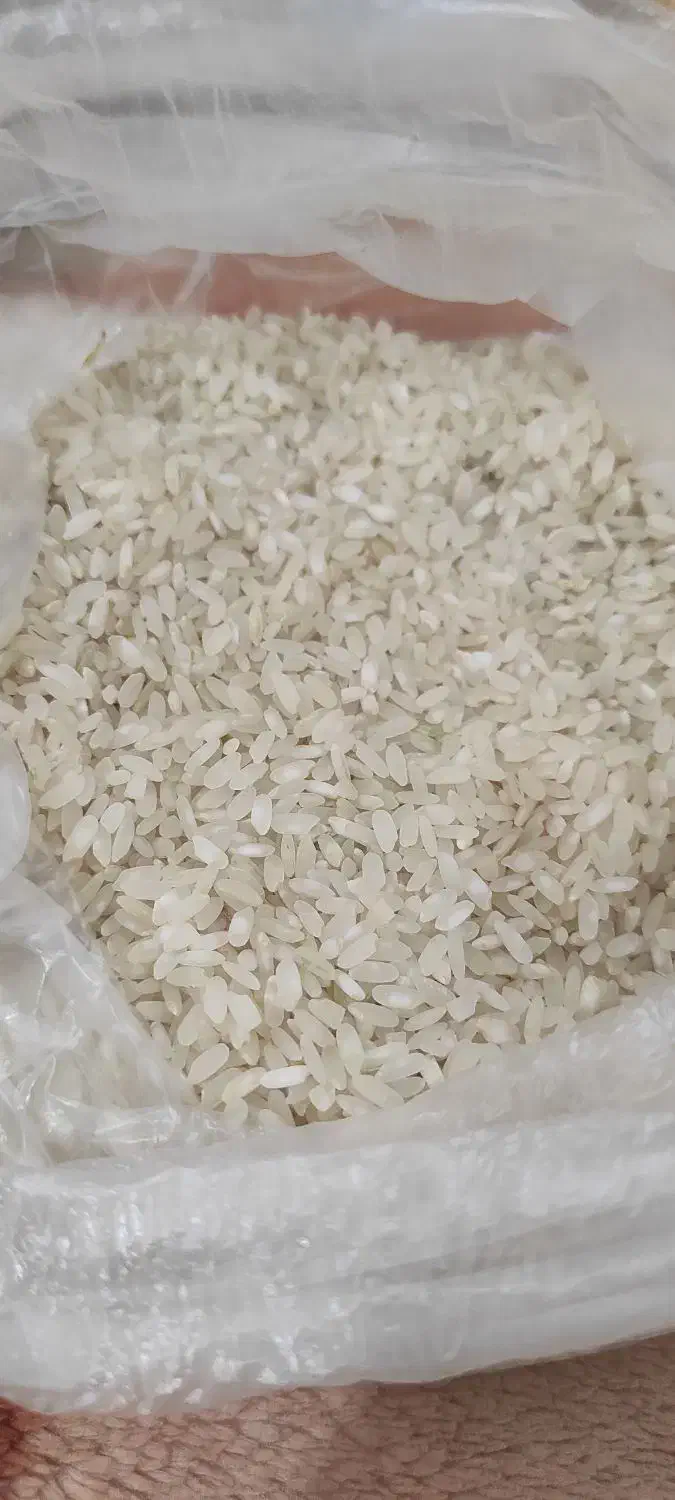 برنج کامفیروزی درجه ۱|خوردنی و آشامیدنی|صدرا-فارس, فاز ۱|دیوار