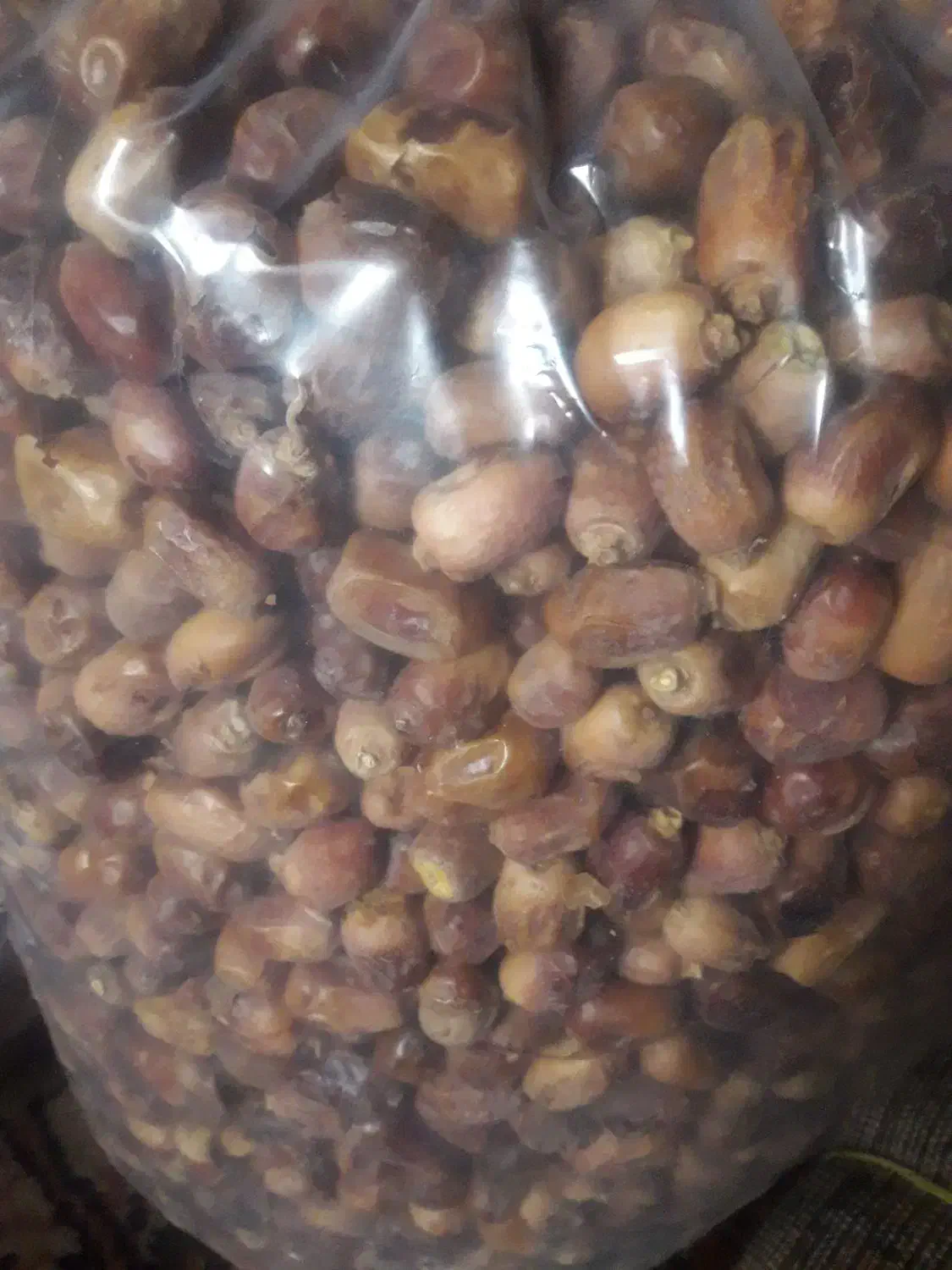 دو گرم سکه پارسیان فروش دو گرم سکه پارسیان ۲۰۰|جواهرات|بروجرد, |دیوار