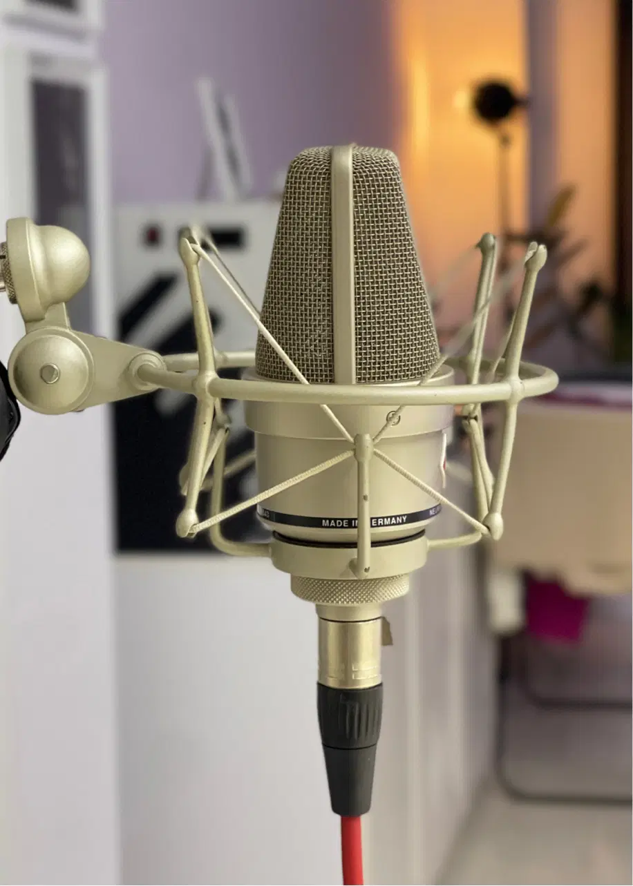 Tlm 103 Neumann|آلات موسیقی|پردیس, فاز ۸|دیوار