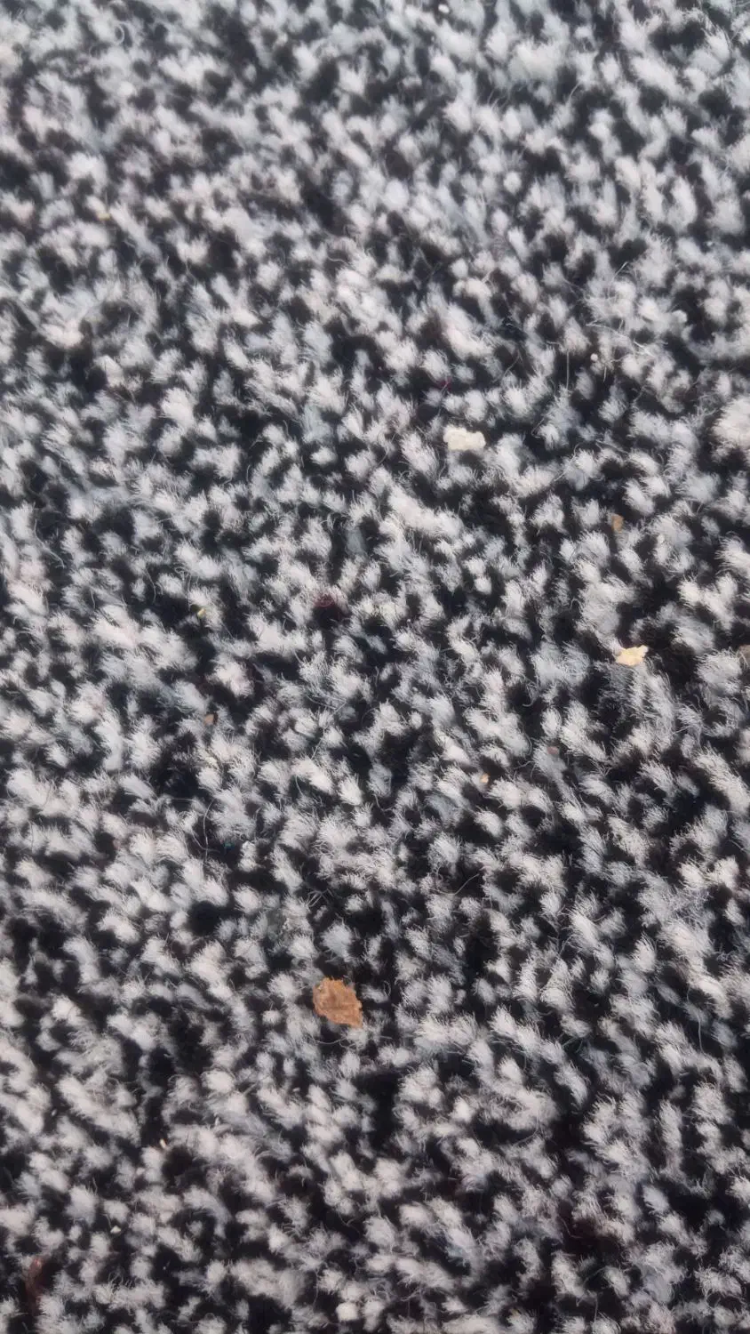 بار موکت تافتینگ|فرش|قمرود, |دیوار