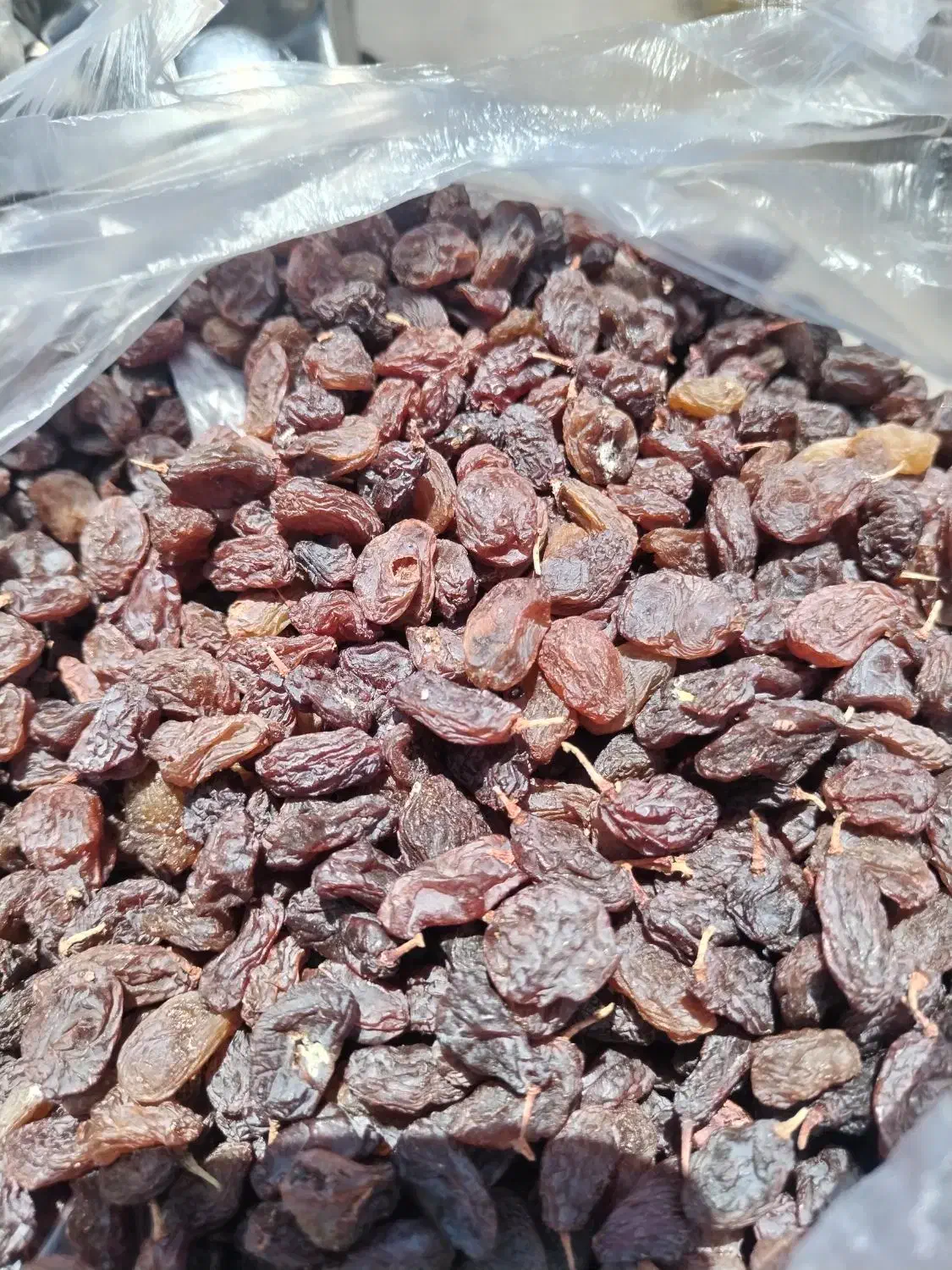 گردو الو بخارا بوانات|عمدهفروشی|شیراز, کوشک میدان|دیوار