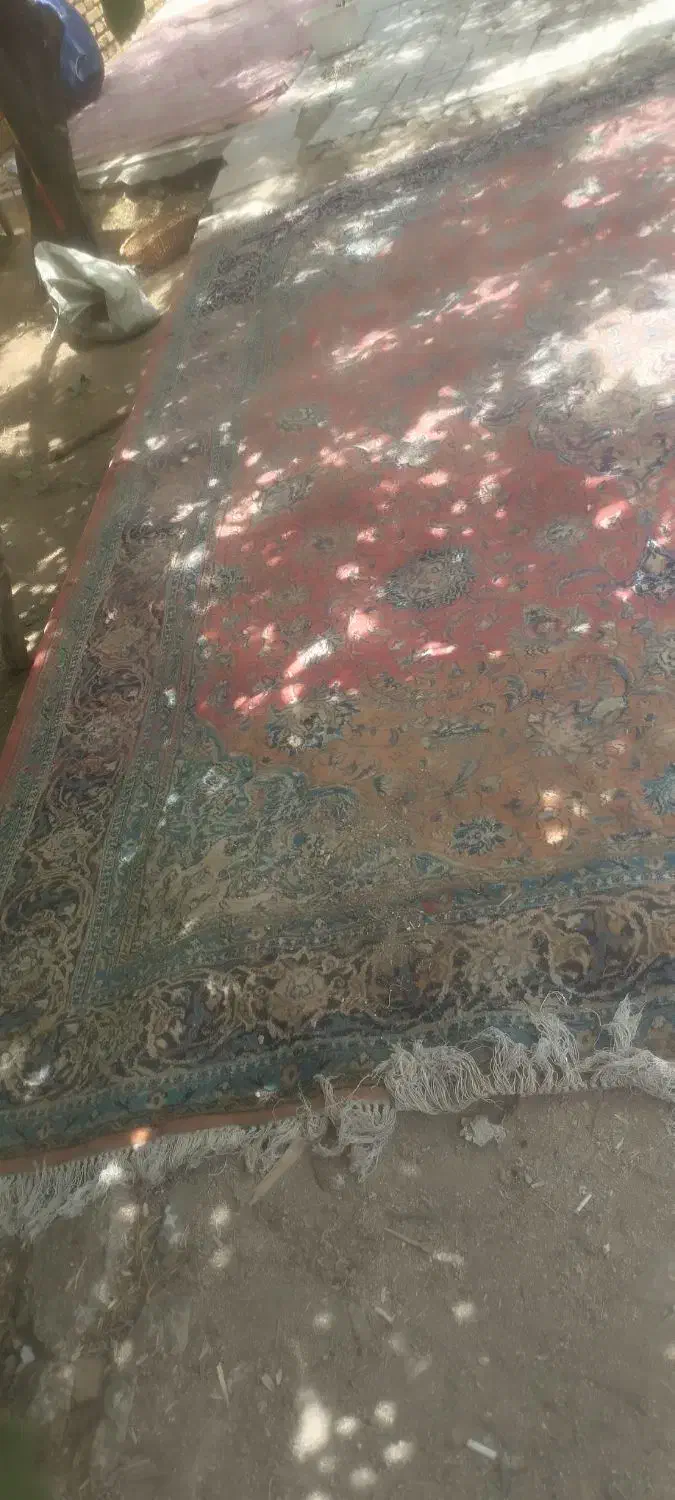 فرش قدیمی دست بافت|فرش|یزد, |دیوار