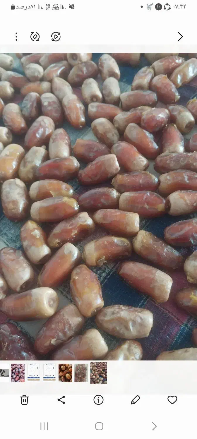 خرمای نیمه خشک برای ورزشکاران  کسانی که قنددارن|خوردنی و آشامیدنی|تربت‌حیدریه, بالا ولایت|دیوار