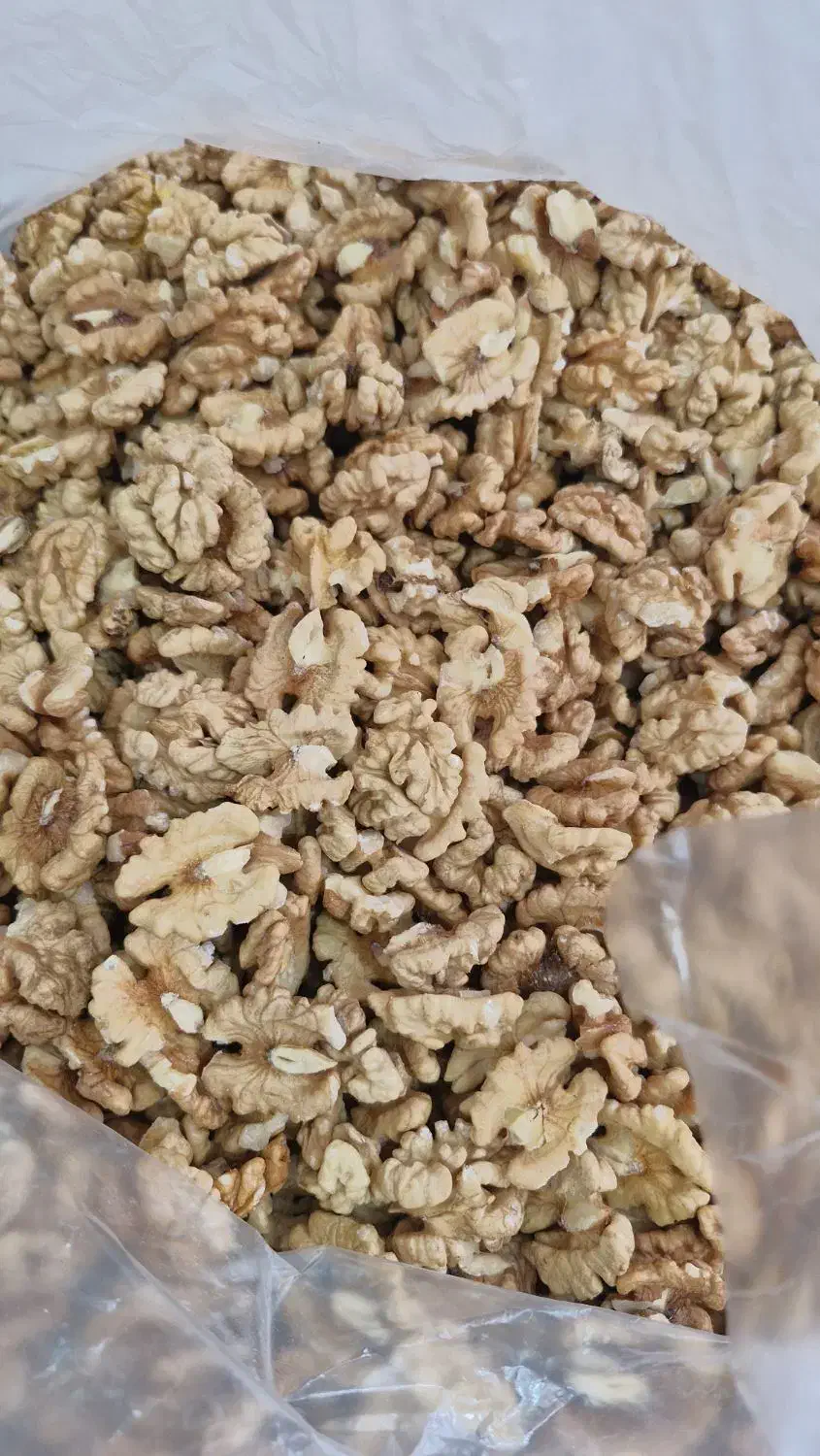 فروش گردوی تویسرکان|خوردنی و آشامیدنی|رشت, بلوار گیلان|دیوار