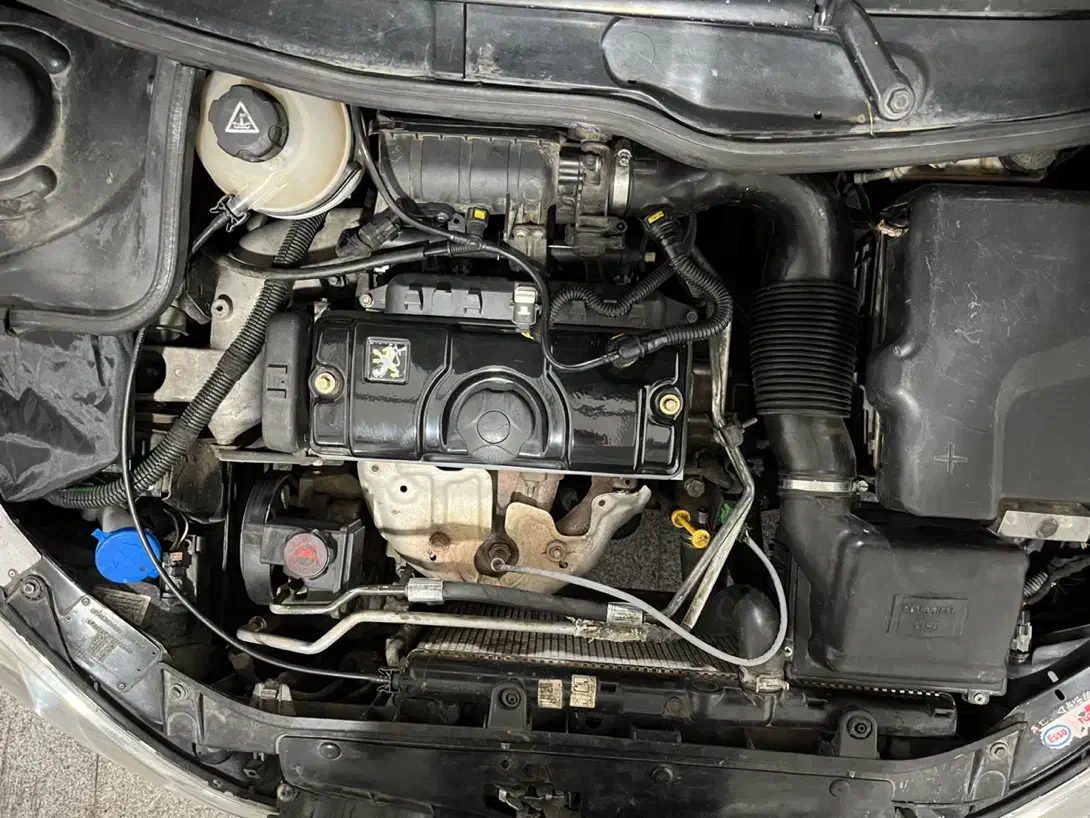 206 مشکی مدل ۸۲|خودرو سواری و وانت|سبزوار, چهارراه فرودگاه|دیوار