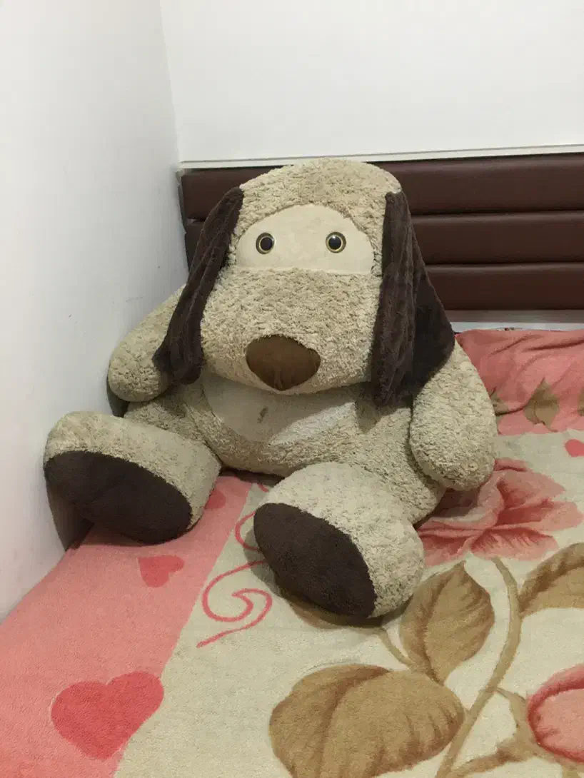 عروسک سگ|اسباب‌‌بازی|قرچک, میرزائی جنوبی|دیوار