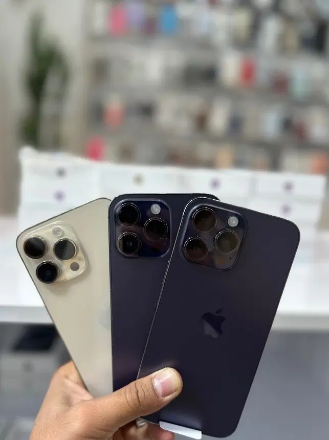 آیفون13max|موبایل|شیراز, آبیاری|دیوار