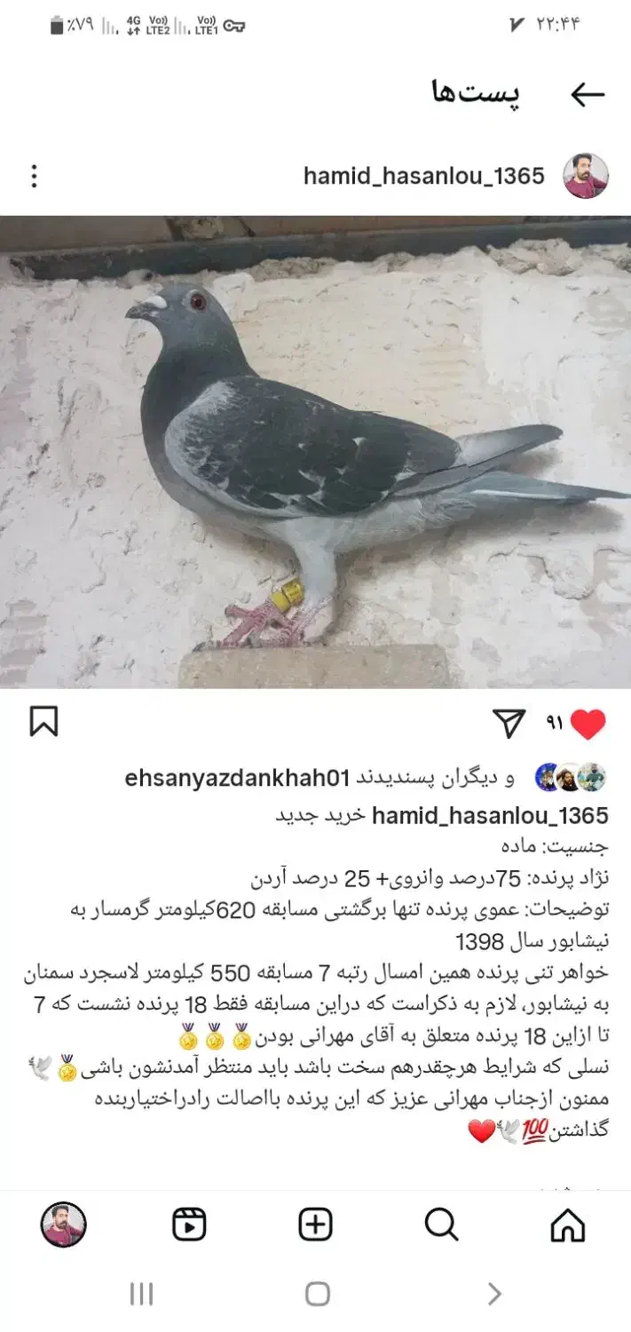 نروماده مولدمسافتی|پرنده|تاکستان, |دیوار