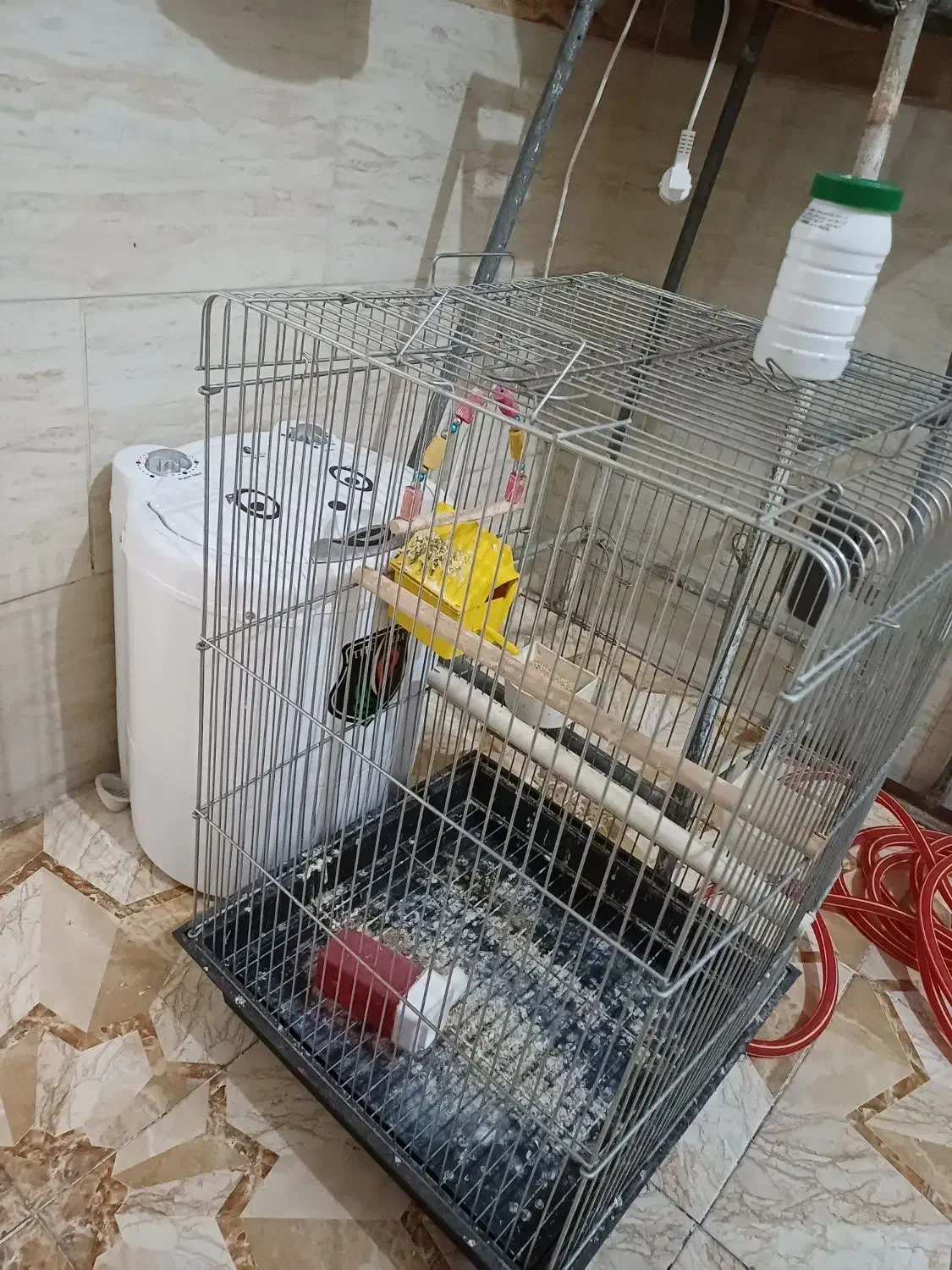 قفس پرنده|لوازم جانبی حیوانات|قم, علی آباد سعدگان|دیوار