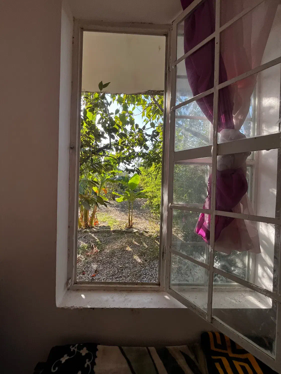 باغ با چاه|فروش زمین و ملک کلنگی|گرگان, |دیوار