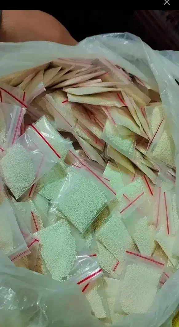 پودر عراقی شپش اصلی و درجه یک|آرایشی، بهداشتی، درمانی|گلبهار, شهر جدید گلبهار|دیوار