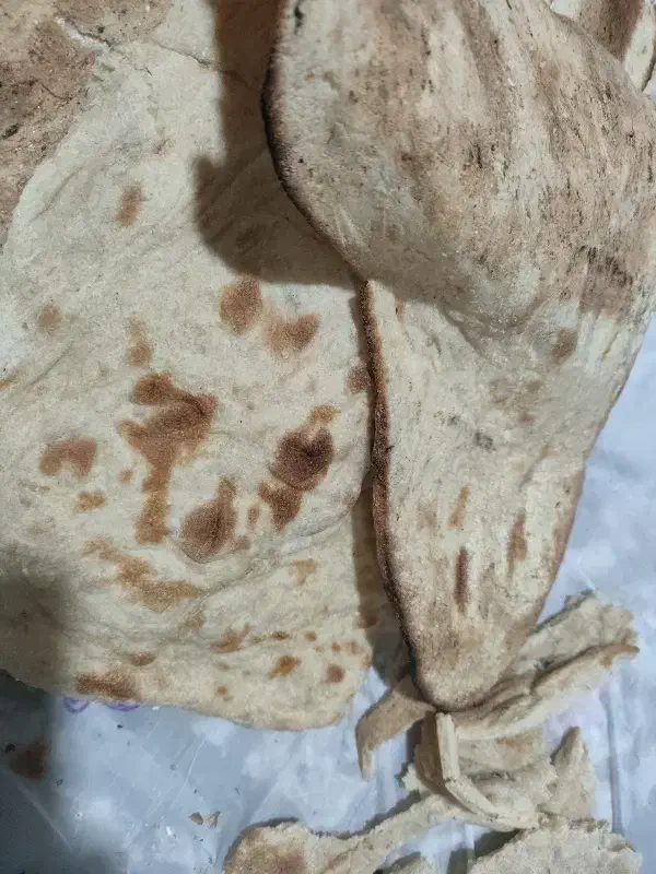 نان خشک تمیز|لوازم جانبی حیوانات|مشهد, یوسفیه (شهرک غرب)|دیوار