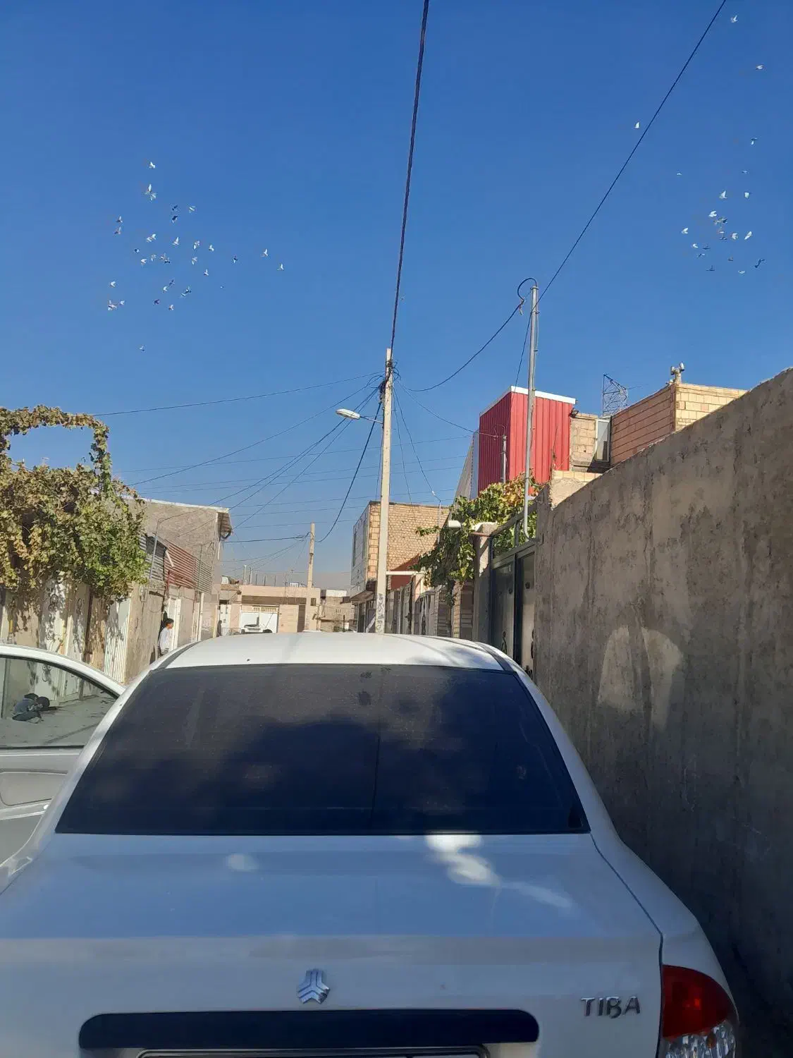 تیبا مدل۱۴۰۰|خودرو سواری و وانت|نیشابور, فردوسی جنوبی|دیوار