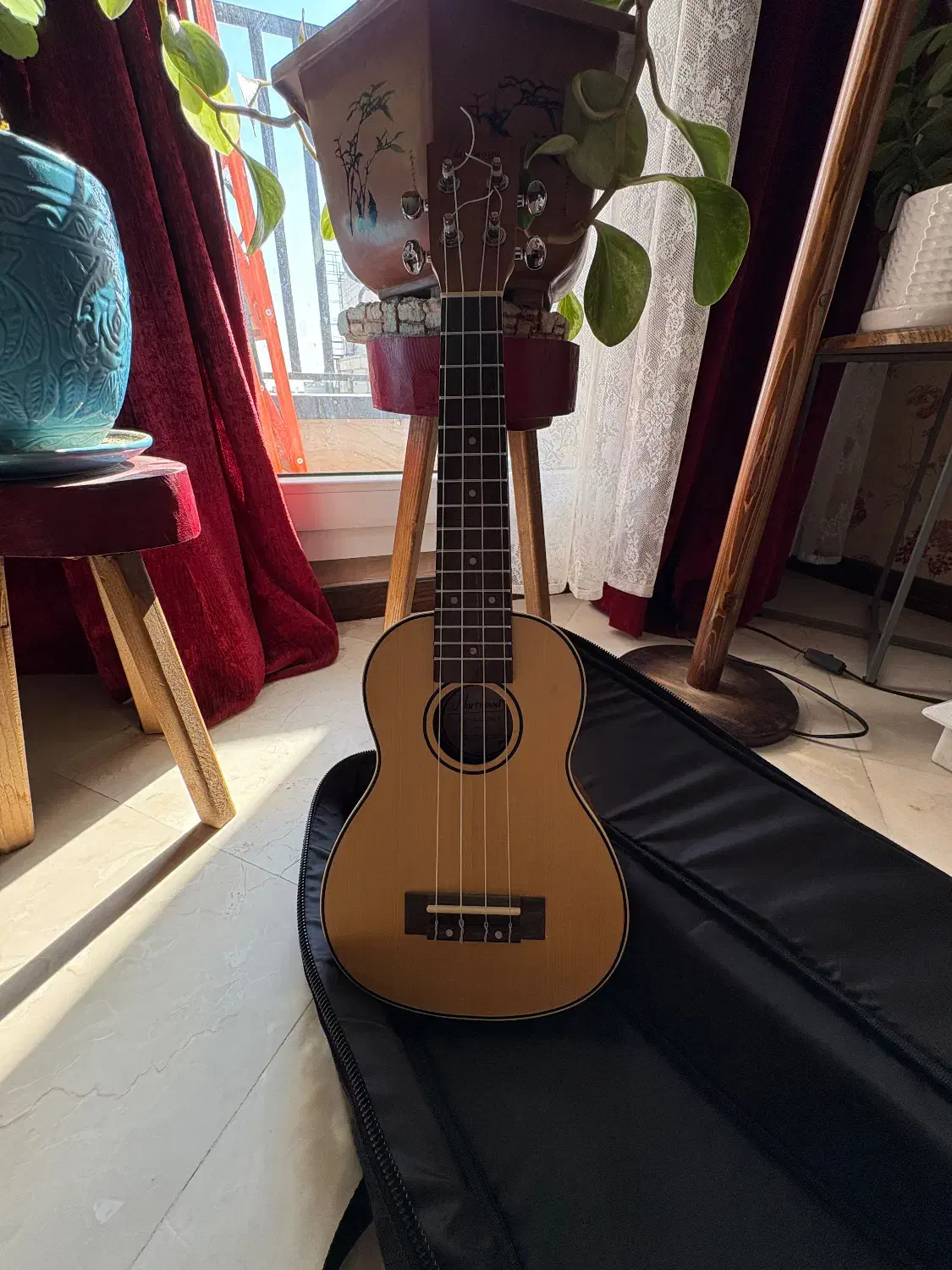 فروش ساز یوکلله (Ukulele)|گیتار، بیس، امپلیفایر|تهران, دریا|دیوار