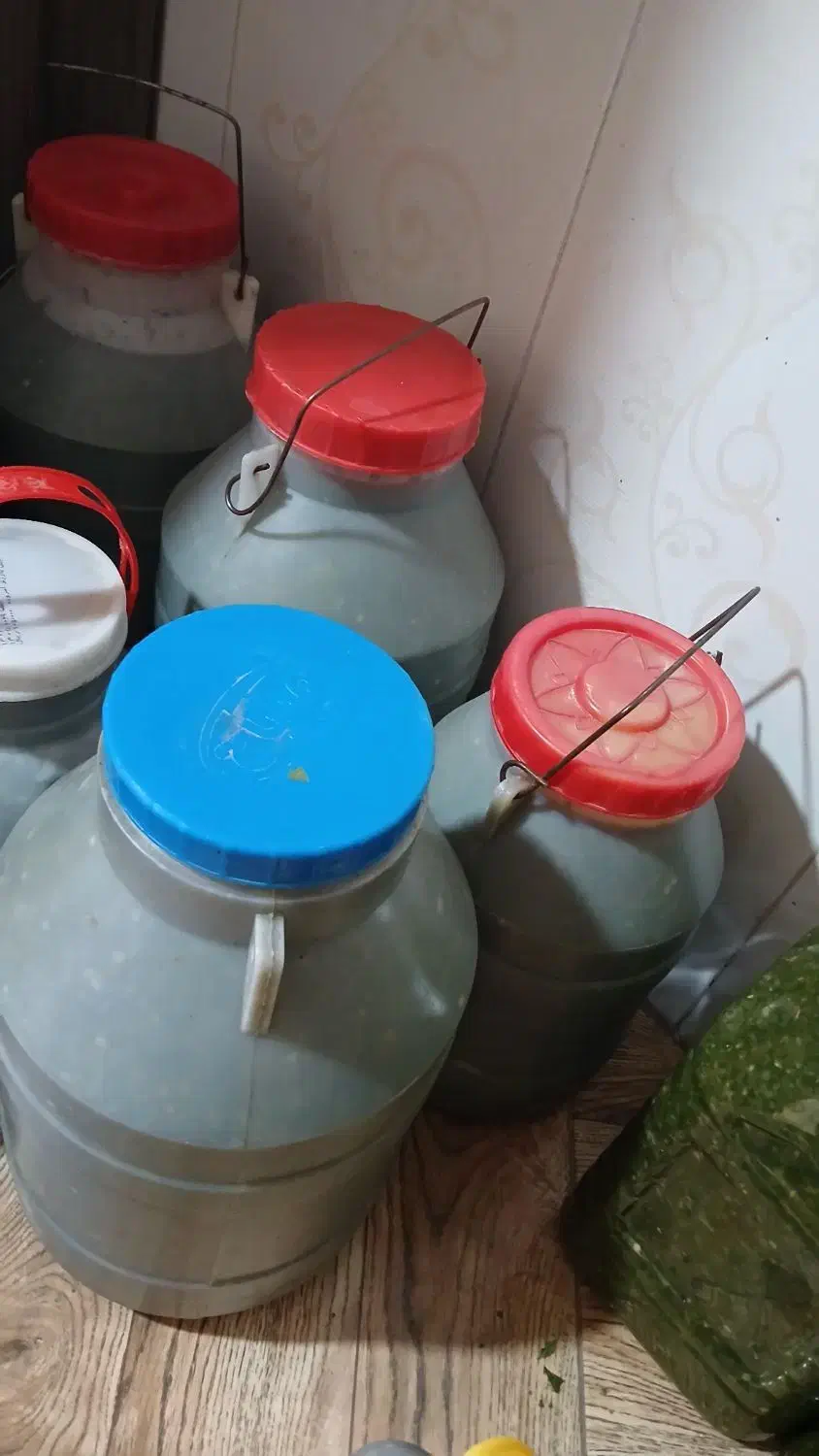 ترشی چکنی افغانستان|خوردنی و آشامیدنی|مشهد, رده|دیوار