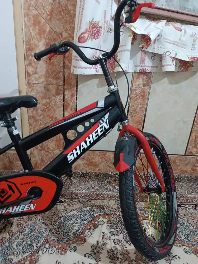 دوچرخه تمیز سالم فقط فقط یک تیوب میخواد|دوچرخه، اسکیت، اسکوتر|پشتکوه (سیستان و بلوچستان), |دیوار