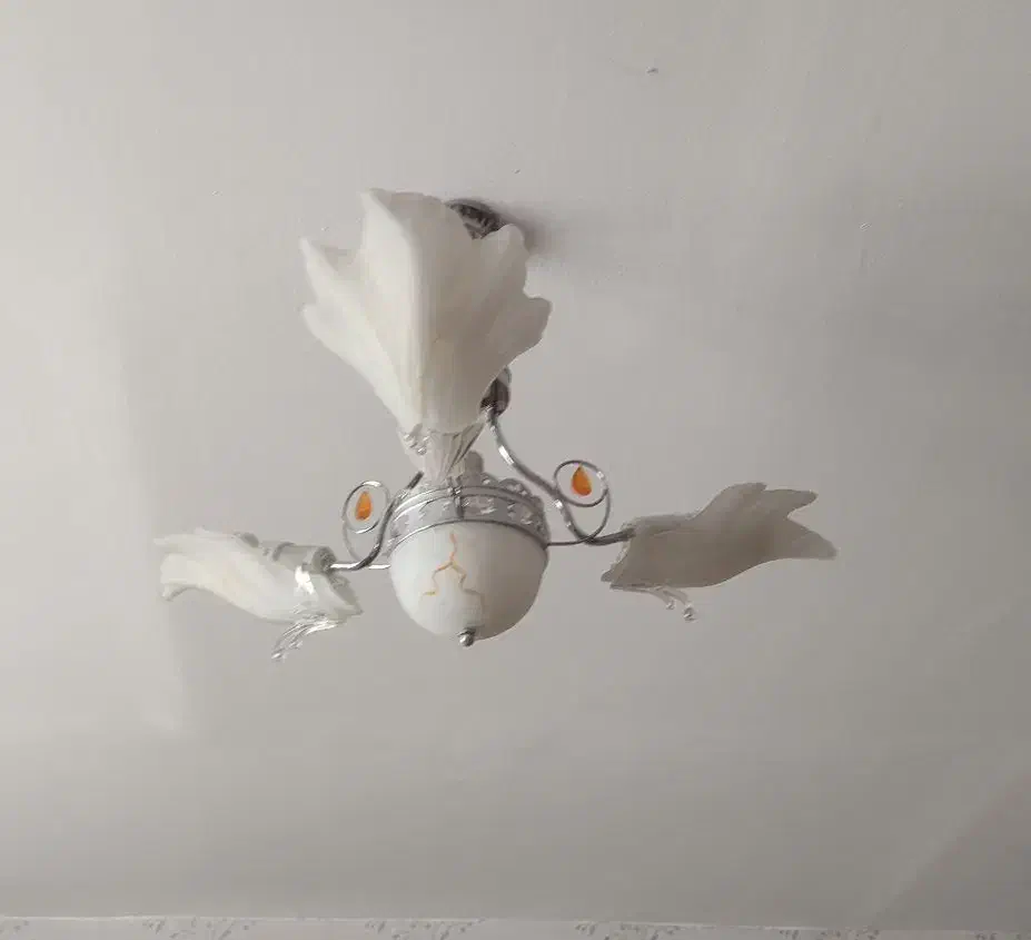 لوستر|لوستر و چراغ آویز|بیرجند, |دیوار