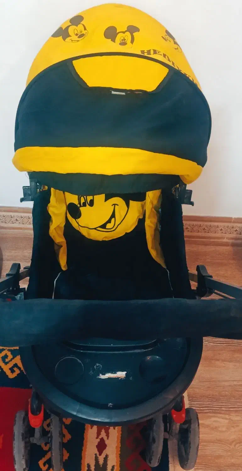 کالسکه ، روروئک،کریر،قصری|کالسکه و لوازم جانبی|شیراز, دشت چنار|دیوار