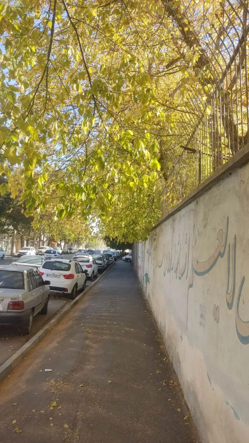 دفترکار در بهترین نقطه مرکزشهر|اجارهٔ دفتر کار، اتاق اداری، مطب|همدان, |دیوار