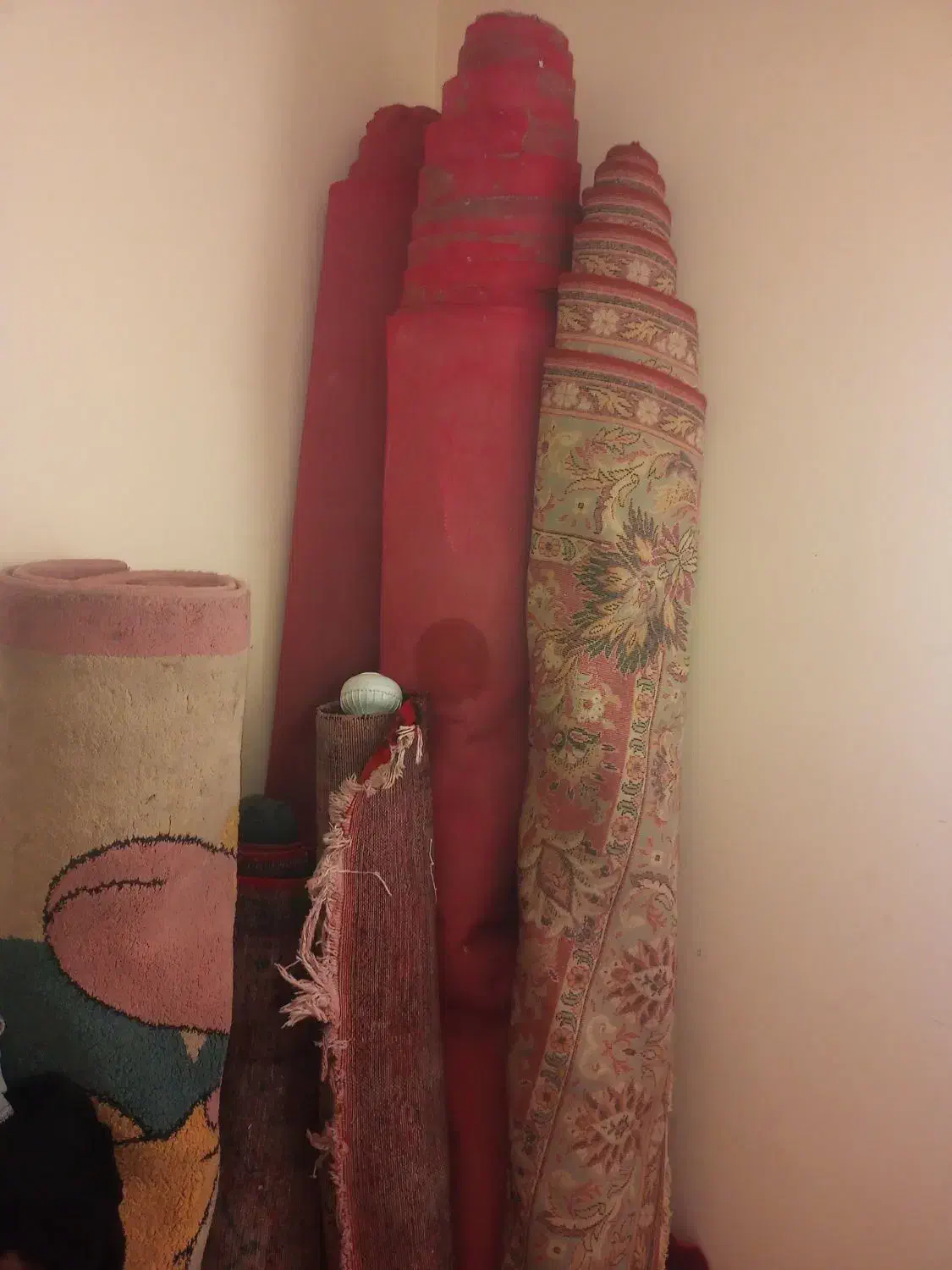 فرش دستبافت موکت|فرش|پرند, فاز ۶|دیوار