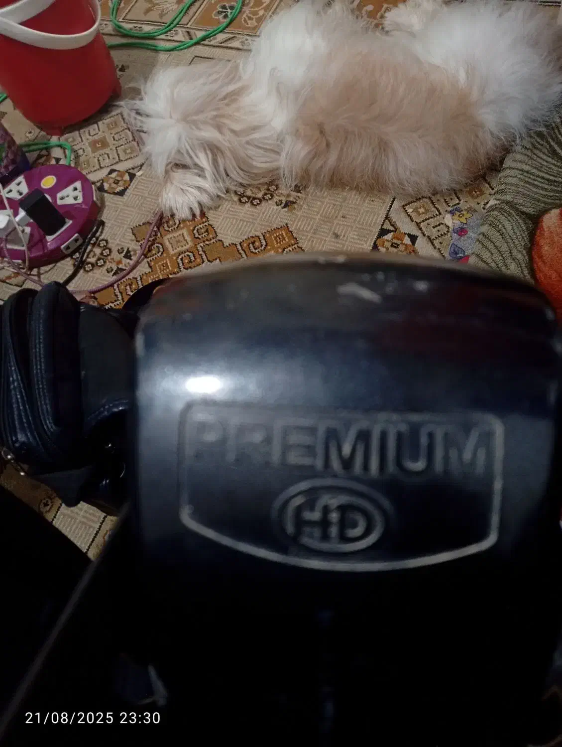 گیرنده دیجیتال گردون|صوتی و تصویری|آبادان, |دیوار