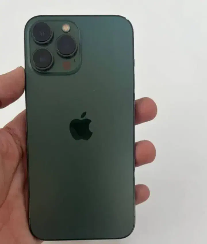 iPhone 13 por max|موبایل|شیراز, ارم|دیوار