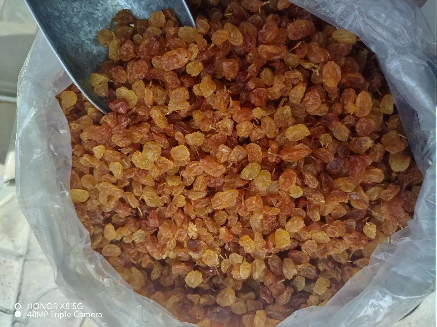 کشمش زرد امسالی  با شیره انگور محصول قوچان|خوردنی و آشامیدنی|مشهد, شهرک امام هادی (شهرک غرب)|دیوار