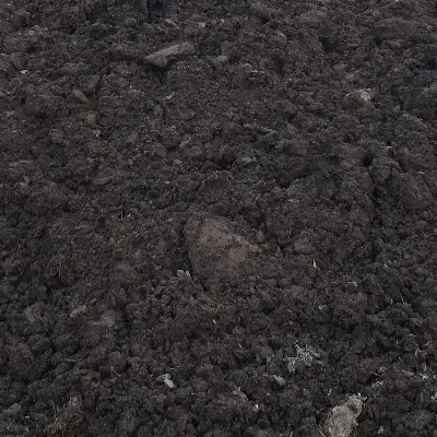 کود گاوی|خدمات باغبانی و درختکاری|شهرکرد, |دیوار