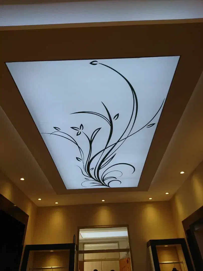 طراحی،اجرا،تعمیر سقف کشسان(فرجام سقف)|خدمات پیشه و مهارت|اصفهان, خواجو|دیوار