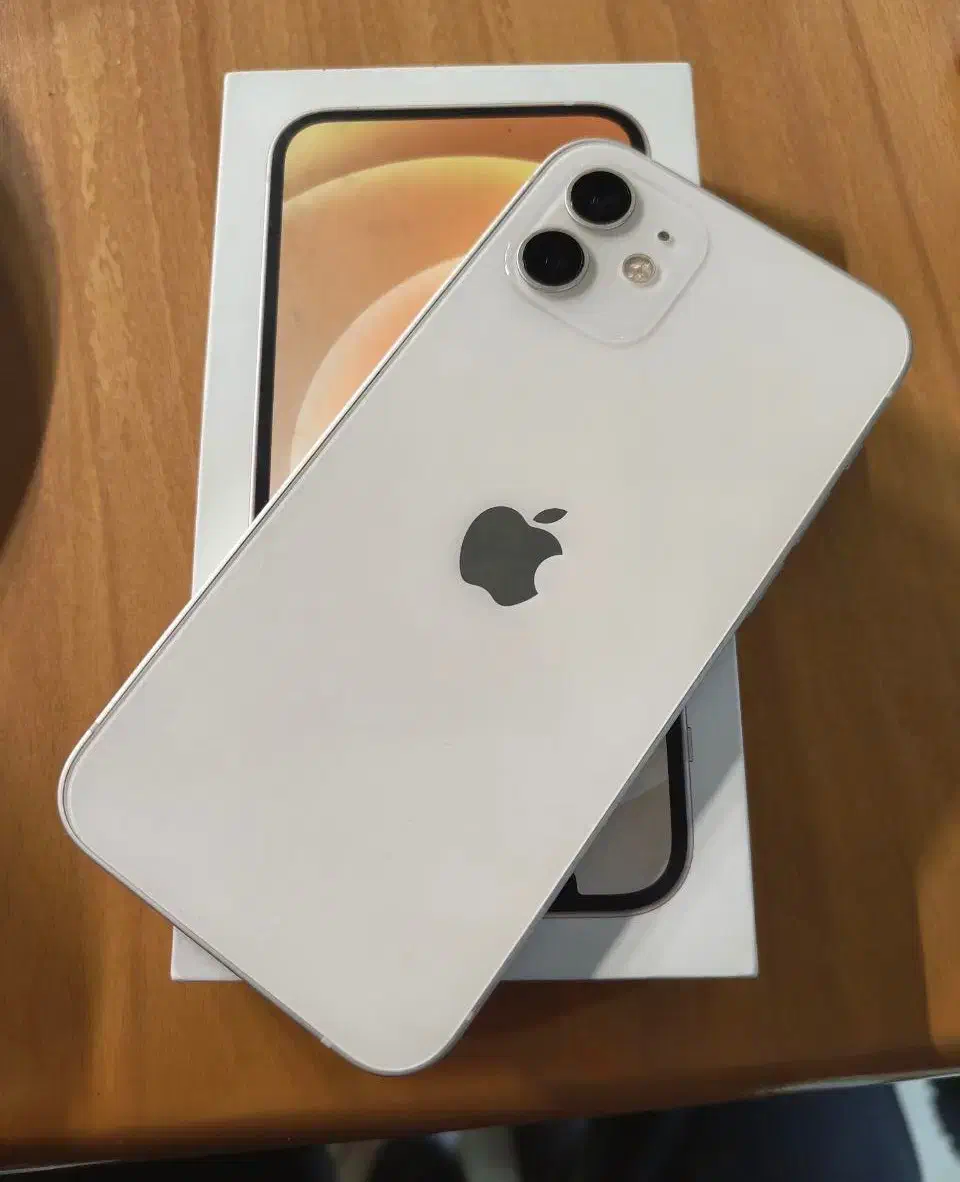 آیفون ۱۲ / دوسیم / ۱۲۸ گیگ|موبایل|تبریز, |دیوار