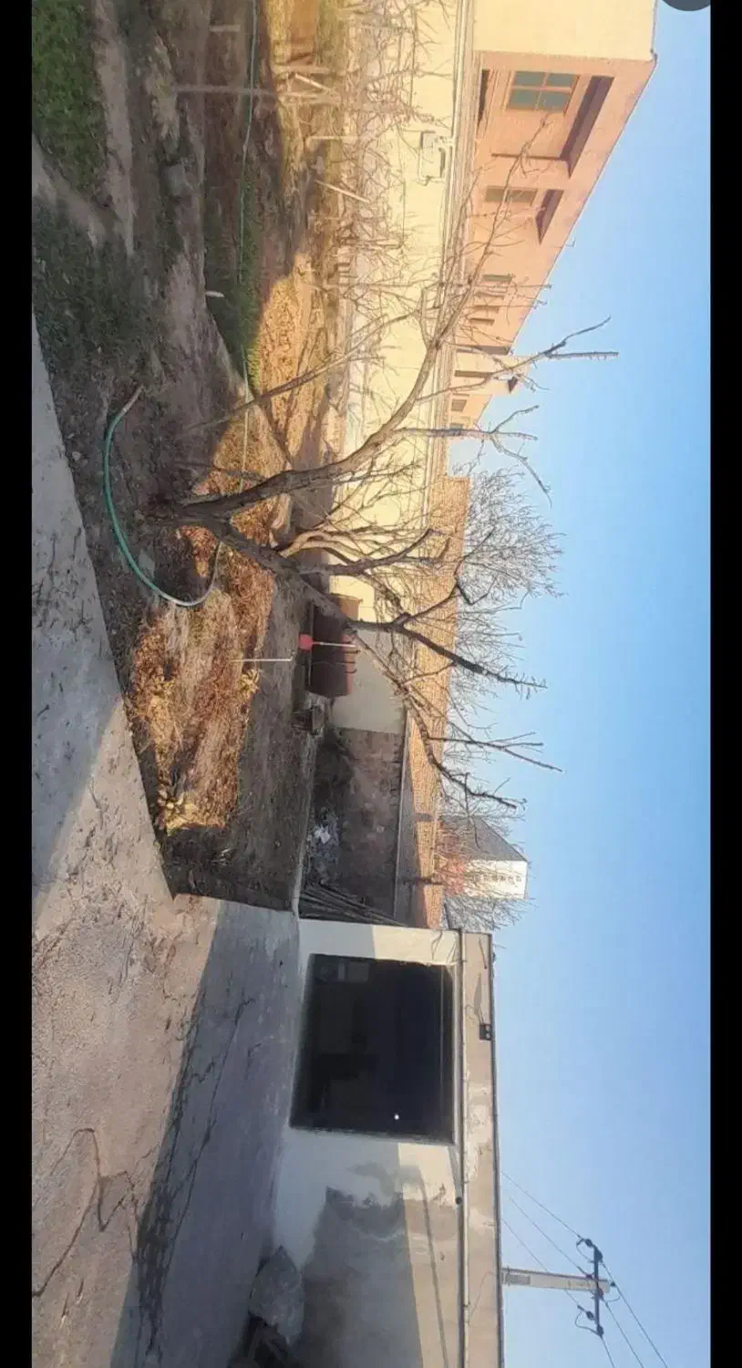 سم پاشی درخت، هریس درخت، فروش درختان و پیوند زنی|خدمات باغبانی و درختکاری|تبریز, |دیوار