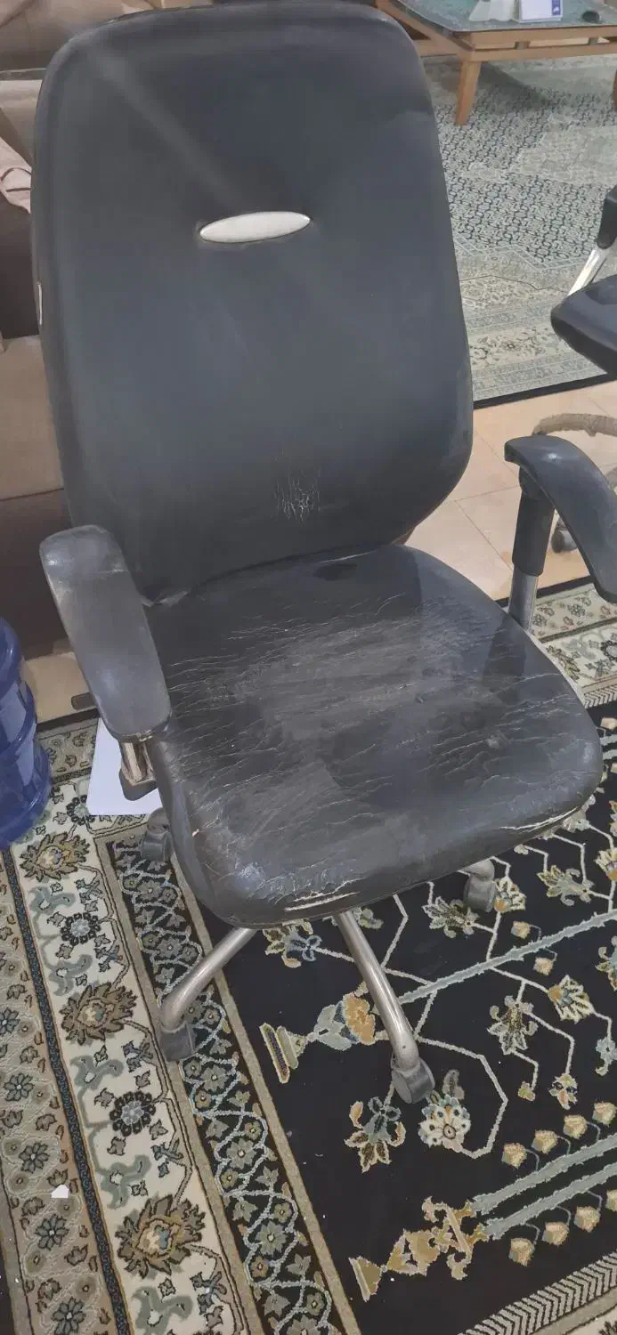 صندلی چرخدار|دفتر کار|اهواز, کوروش|دیوار