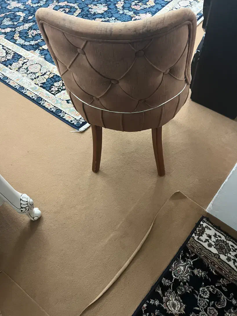 صندلی چستر|میز و صندلی غذاخوری|اردبیل, |دیوار