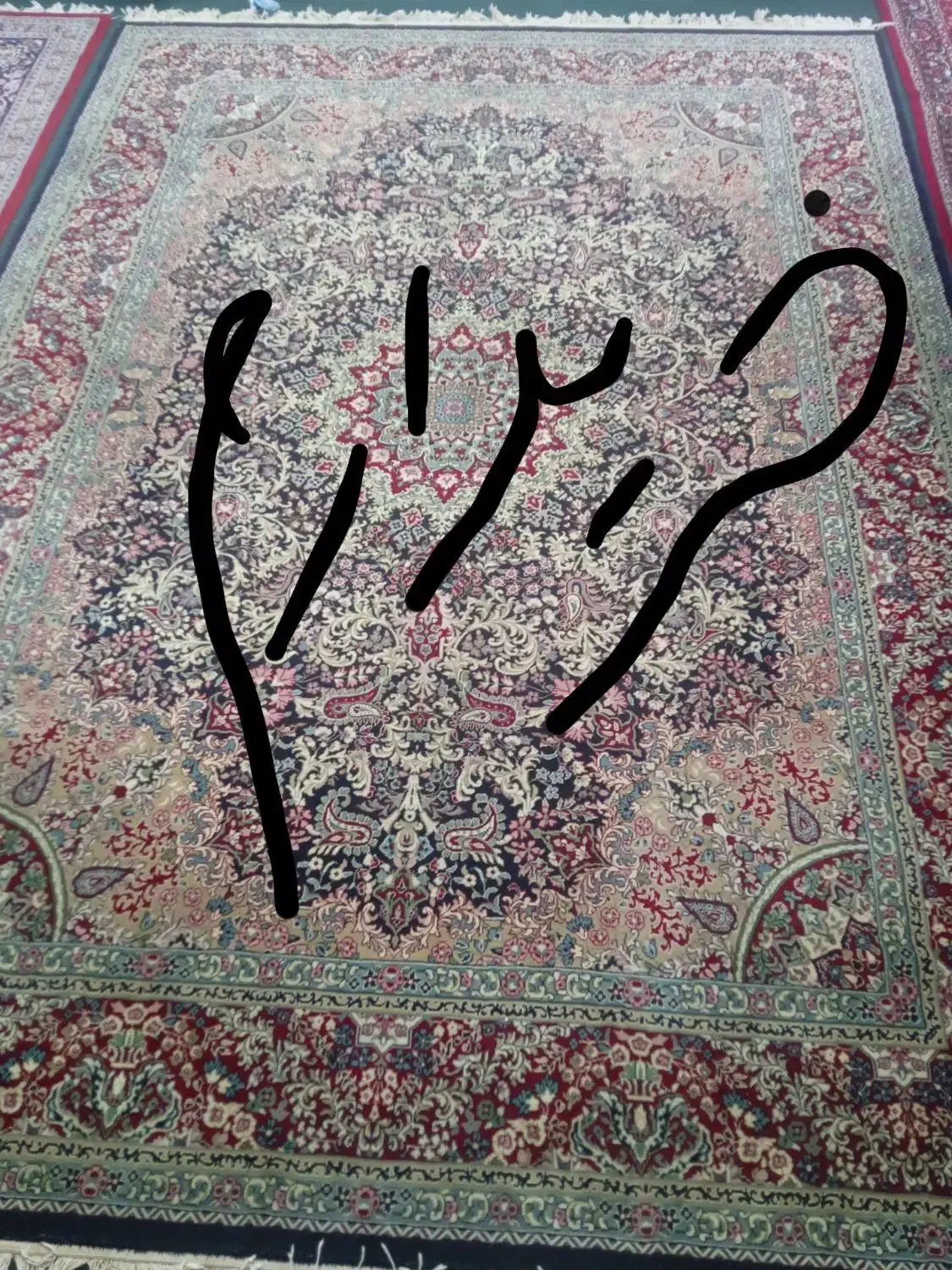 قالی سرمه ای|فرش|کرمان, |دیوار