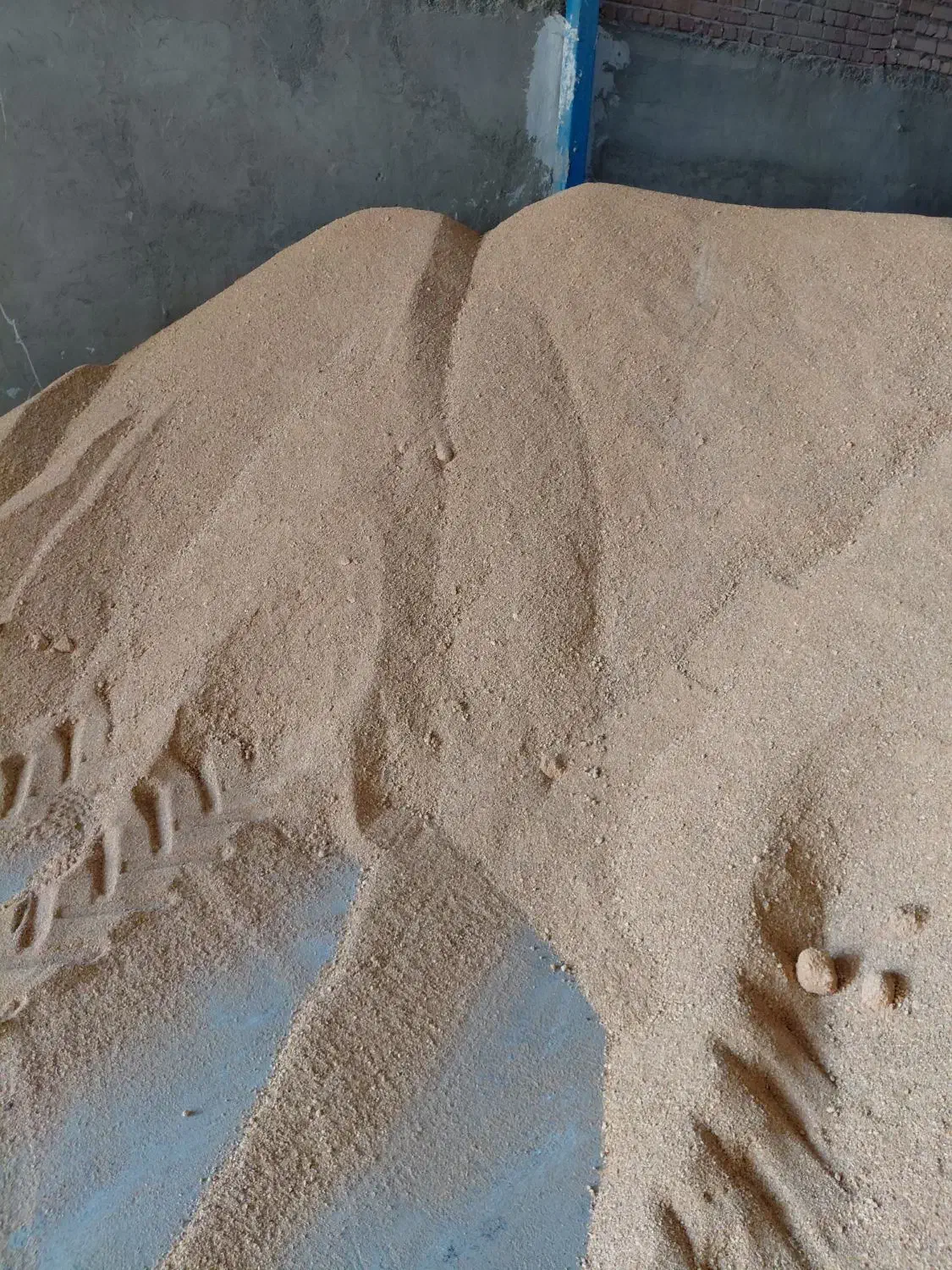 سویا برزیل|عمده‌فروشی|کنگاور, |دیوار