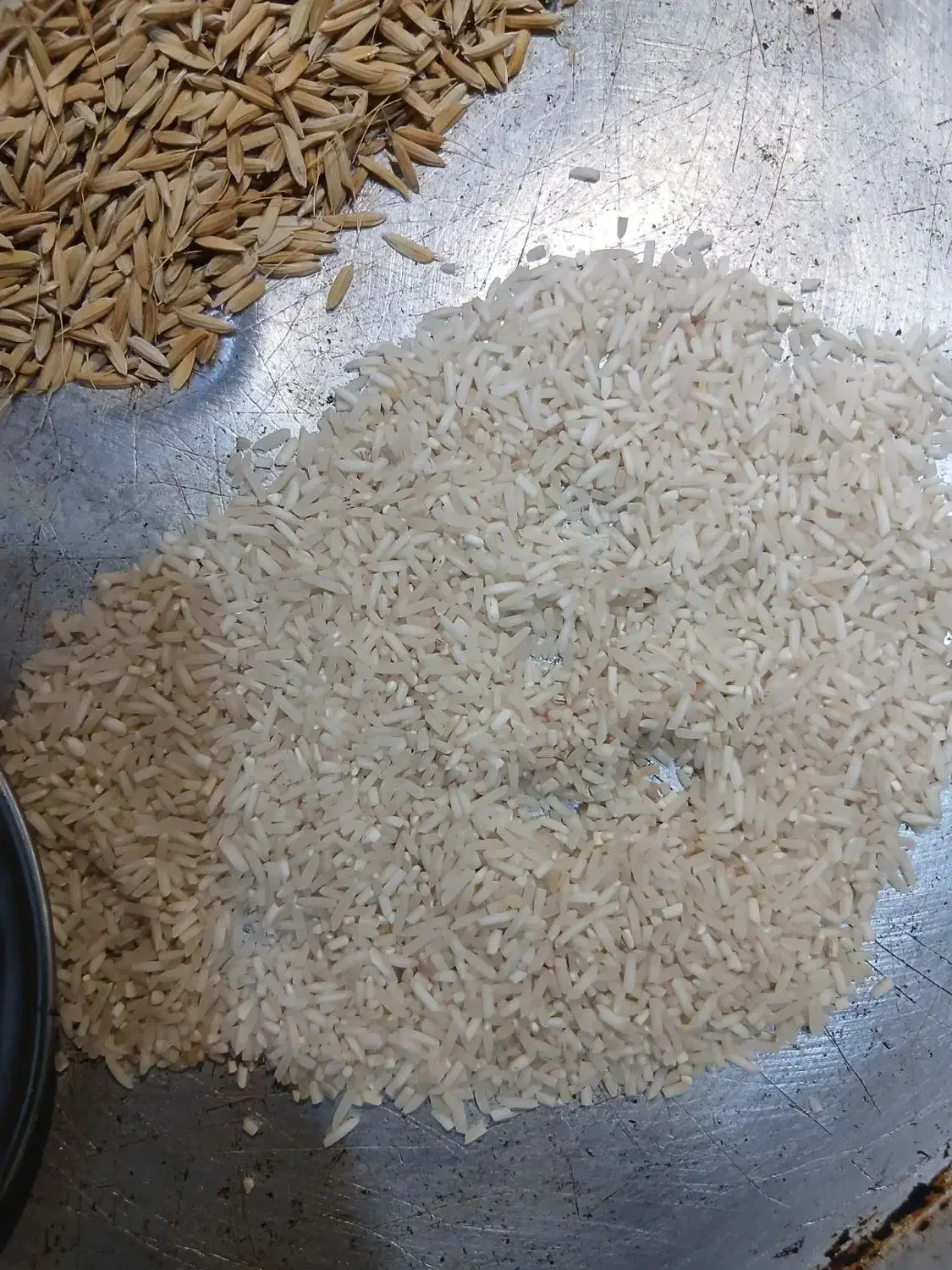 برنج هیر دامن|خوردنی و آشامیدنی|دامن, |دیوار