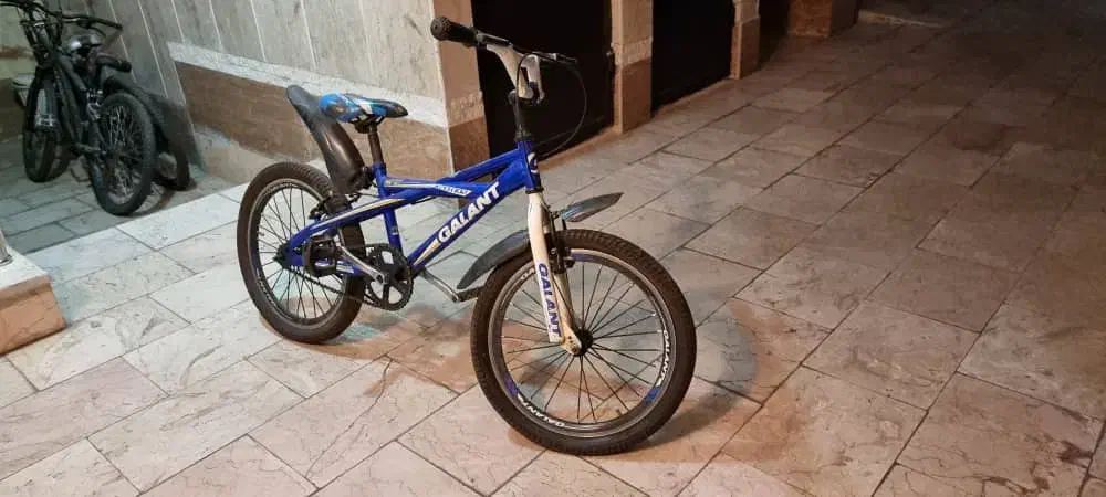 دوچرخه سایز ۱۶ گالانت|دوچرخه، اسکیت، اسکوتر|تهران, آزادشهر|دیوار
