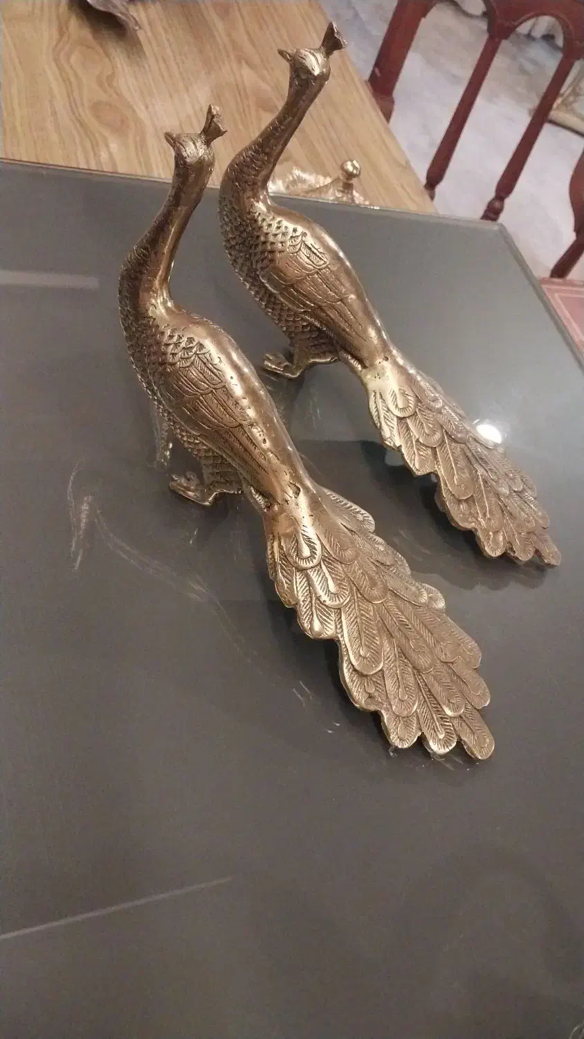 مجسمه برنجی طاووس|مجسمه، تندیس، ماکت|پاکدشت, پاکدشت (مامازند)|دیوار