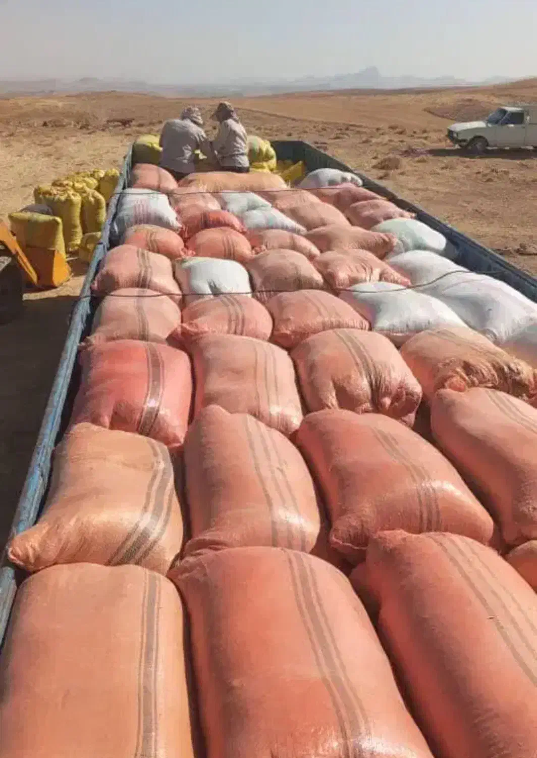 کاه گندم دیم|خدمات باغبانی و درختکاری|قیدار, |دیوار