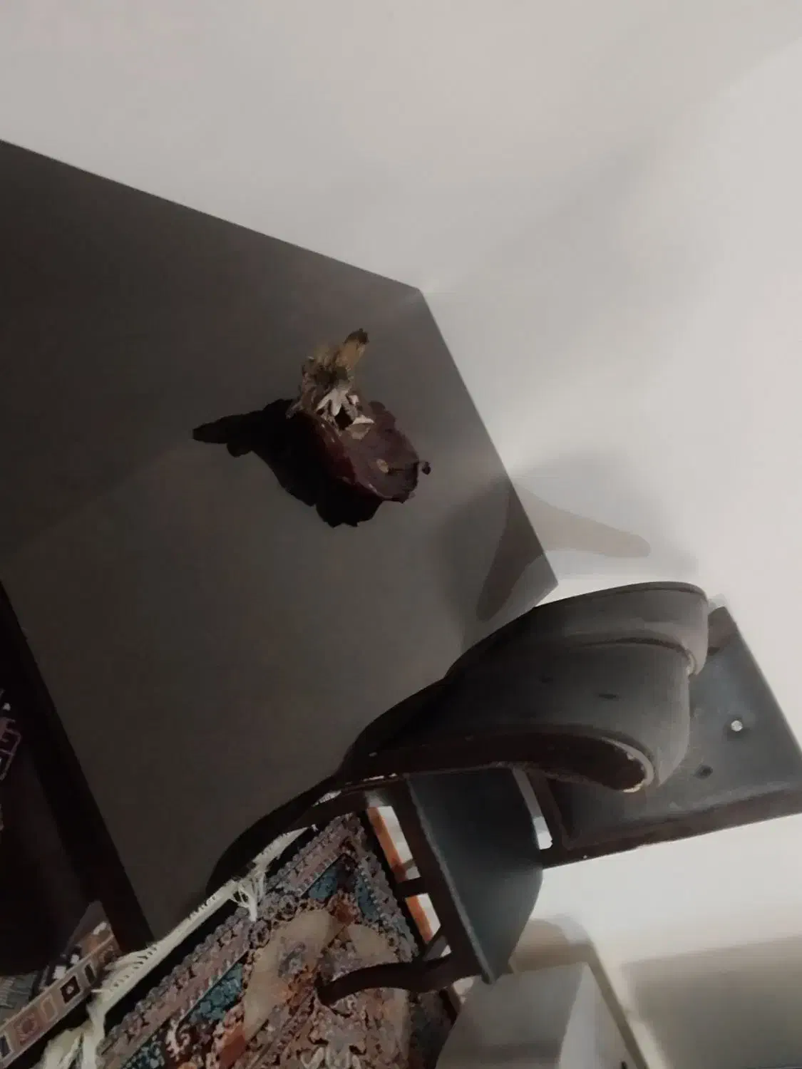 میز نهارخوری|میز و صندلی غذاخوری|بیرجند, |دیوار