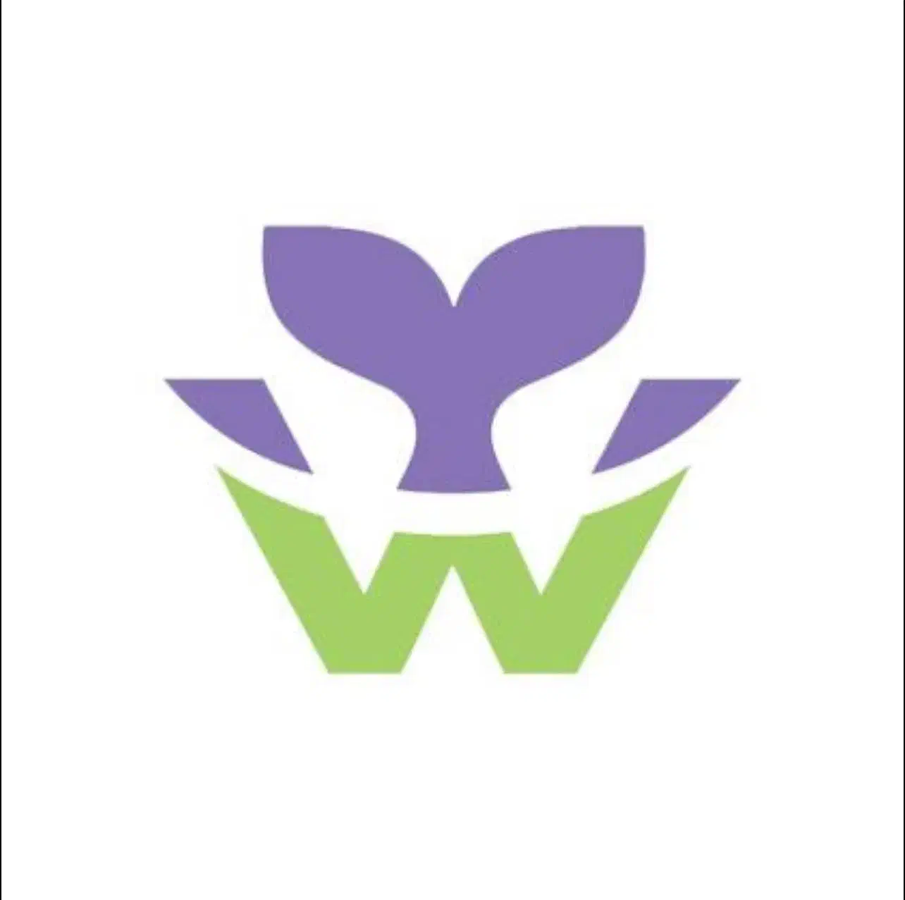 استخدام نیرو در فروشگاه زنجیره ایی وال مارکت|استخدام خدمات فروشگاه و رستوران|تهران, اباذر|دیوار