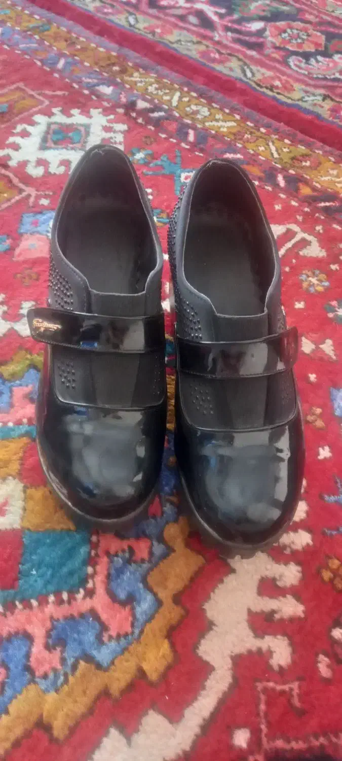 کفش|کیف، کفش، کمربند|سهند, |دیوار